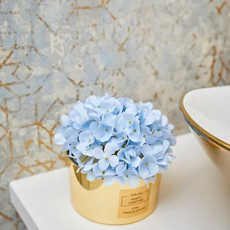 Szarka Downtown Villa *